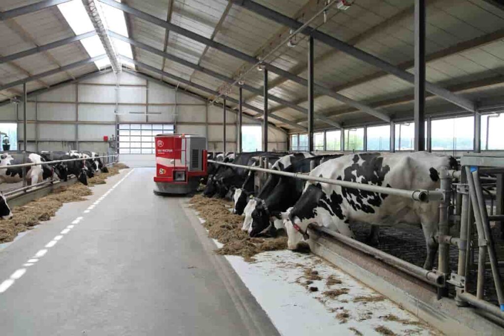 dairy farming tips4