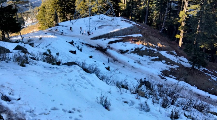 pic taken in jan last