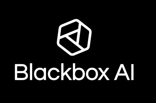 what is black box ai 9986808230511